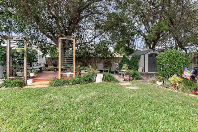 view of yard with a patio area and a shed