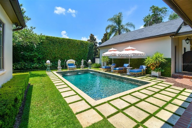 view of swimming pool with a patio area and a yard