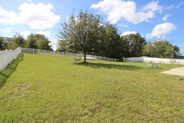 1545 Blue Sky Blvd, Haines City, FL 33844 - view of yard