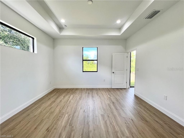 empty room featuring a raised ceiling, a wealth of natural light, and hardwood / wood-style floors