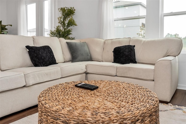 living room featuring hardwood / wood-style flooring and a healthy amount of sunlight