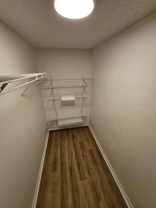 walk in closet featuring dark wood-type flooring