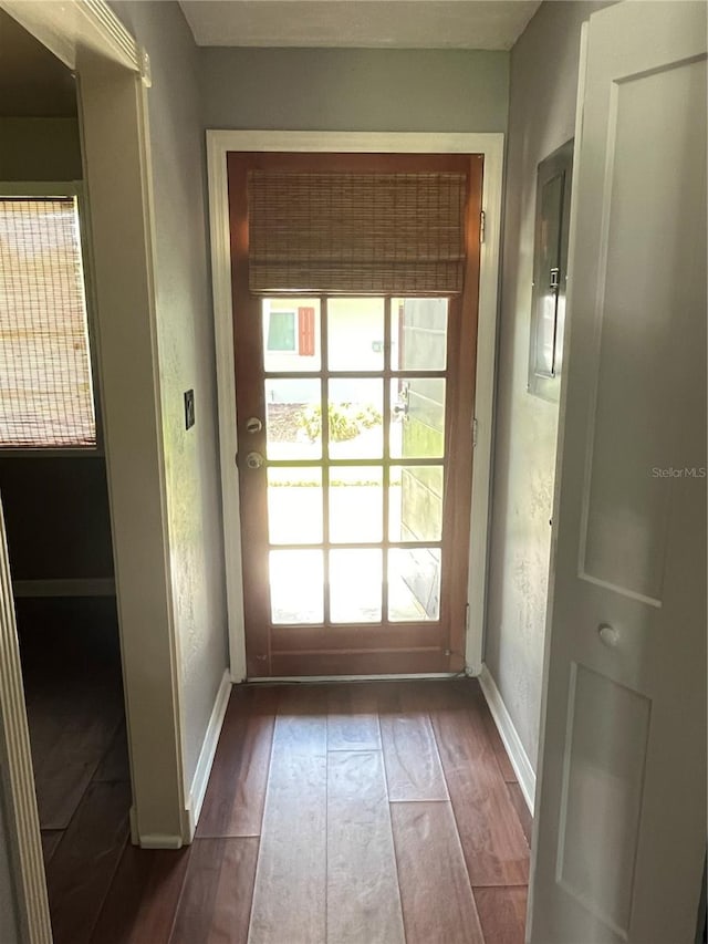 entryway with electric panel and dark hardwood / wood-style floors