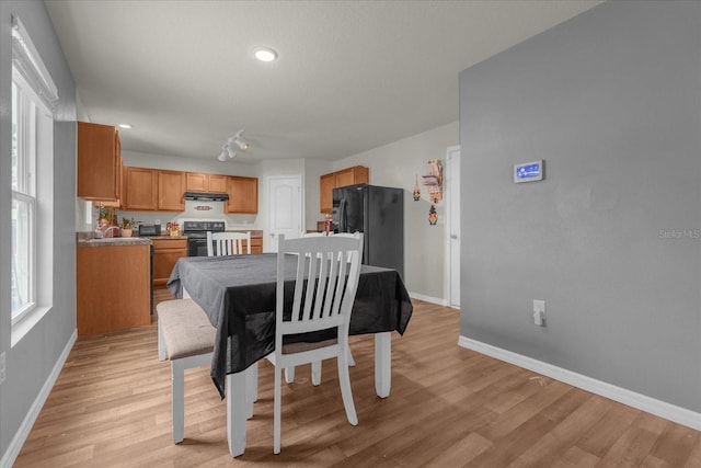 dining space with light hardwood / wood-style floors