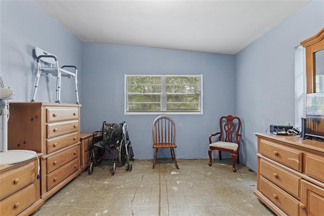 bedroom featuring vaulted ceiling