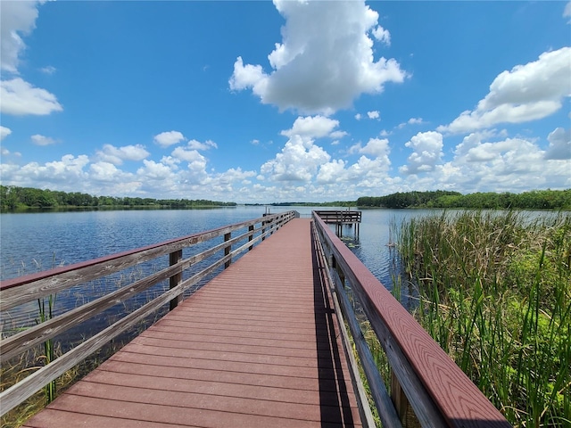 dock area featuring a water view