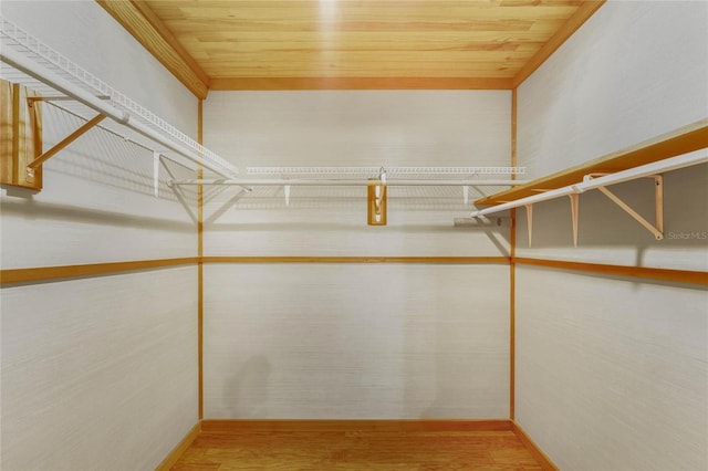 walk in closet with hardwood / wood-style floors