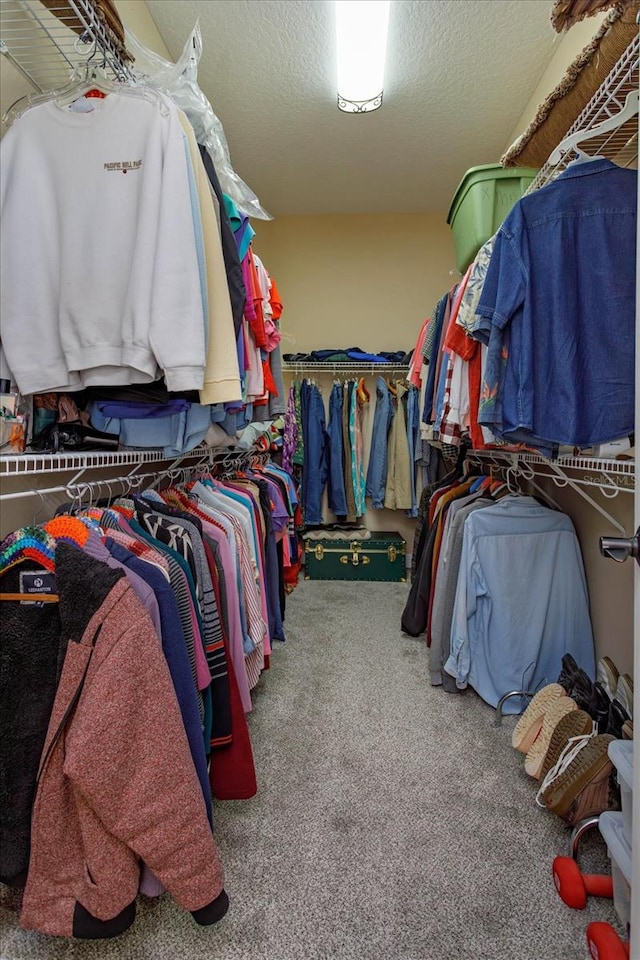 spacious closet with carpet floors