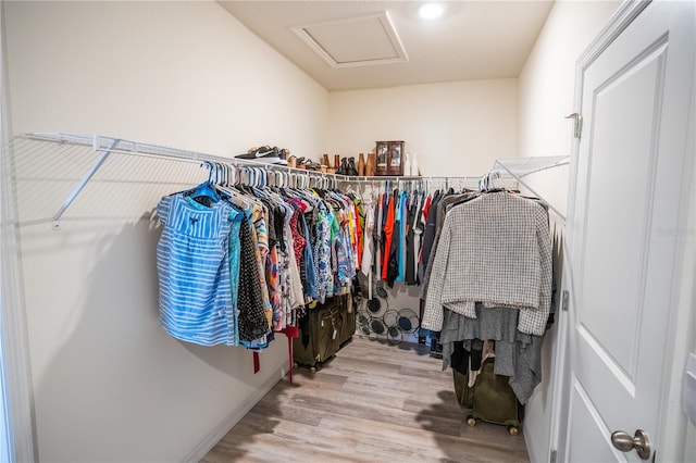 walk in closet with attic access and wood finished floors