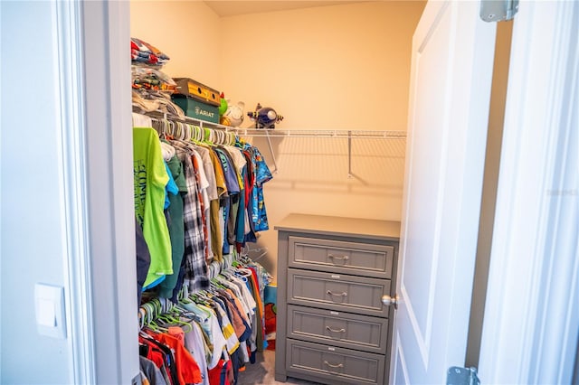 view of spacious closet