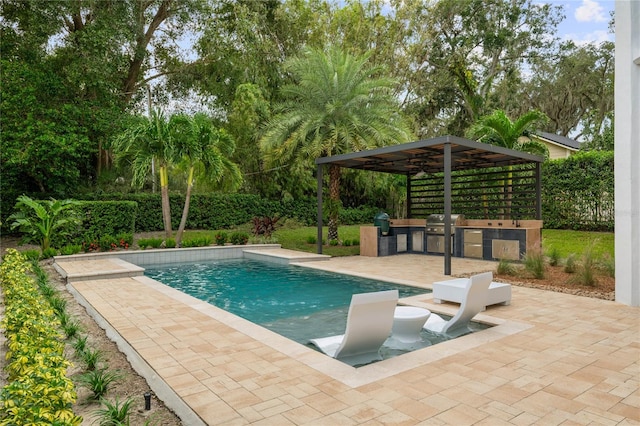 view of pool featuring a patio and area for grilling