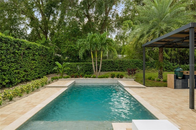 view of pool with a patio and grilling area