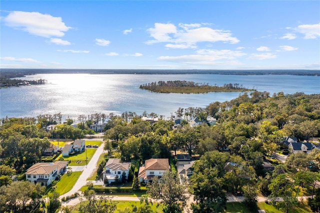 830 Oakdale St, Windermere, FL 34786 - photo 48
