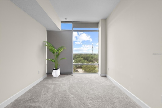 empty room featuring carpet and a wall of windows