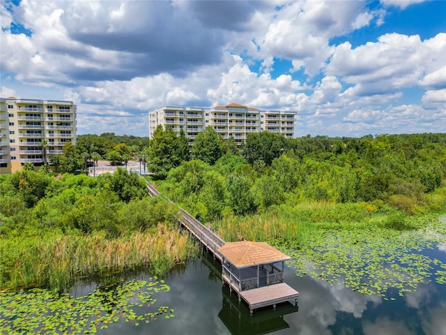 view of dock with a water view