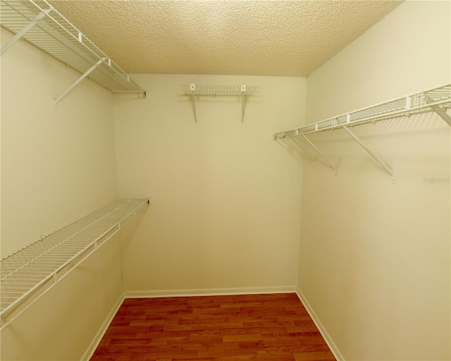 spacious closet with wood-type flooring