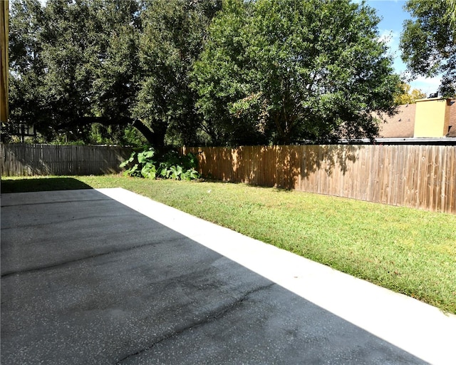 view of yard featuring a patio area