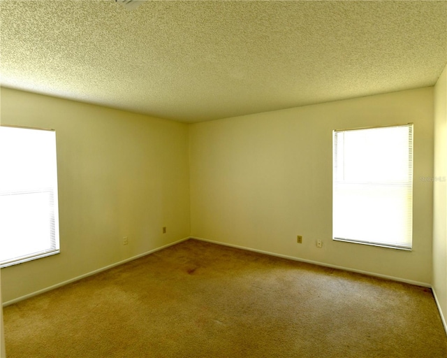 carpeted spare room with a textured ceiling and plenty of natural light