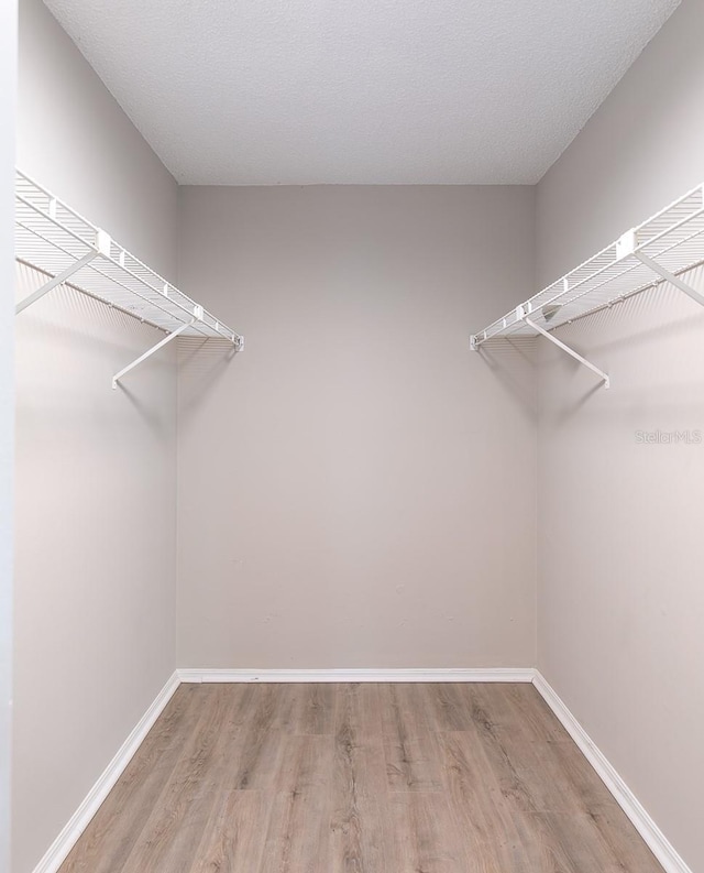 spacious closet featuring wood finished floors