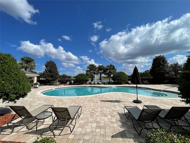 view of pool featuring a patio