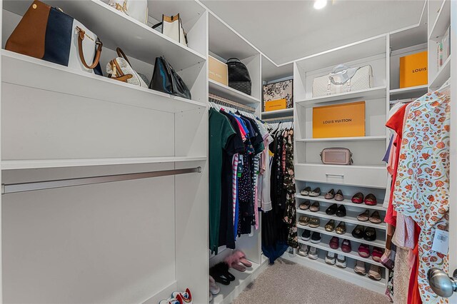 walk in closet with carpet floors