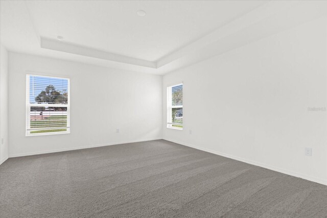 spare room featuring a tray ceiling, carpet, and baseboards