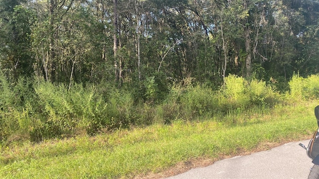 3683 E Baxley Pl, Inverness FL, 34453 land for sale