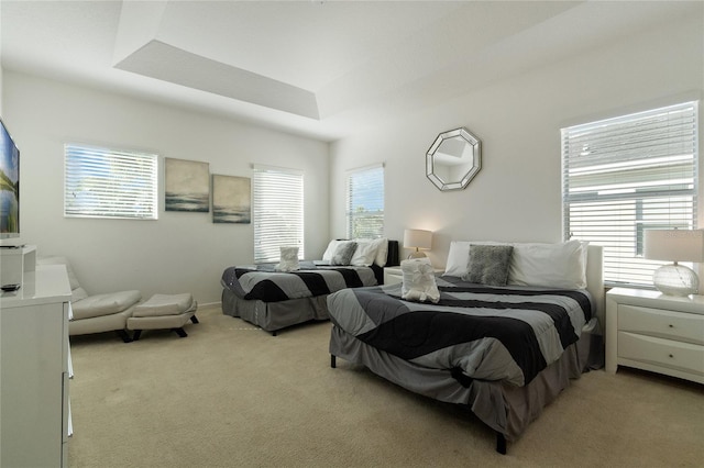 carpeted bedroom with a tray ceiling