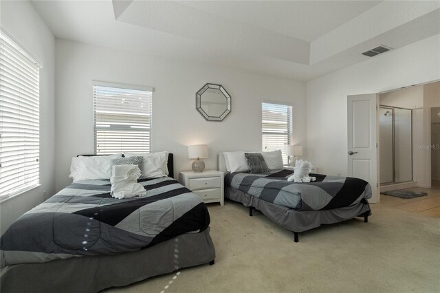 carpeted bedroom featuring a raised ceiling