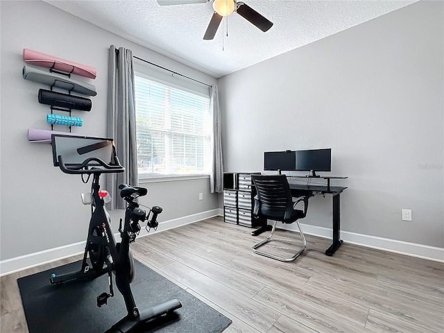 office area featuring a healthy amount of sunlight, a textured ceiling, and light wood-type flooring