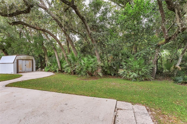 view of yard featuring a patio and a storage shed