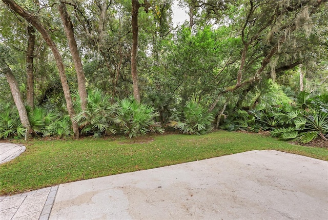 view of yard featuring a patio