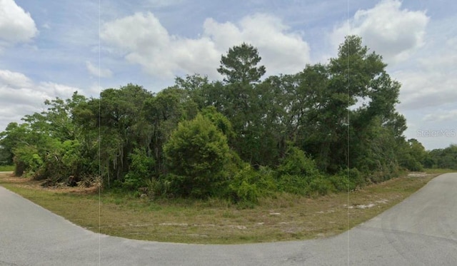 430 Grant Ave NE, Lake Placid FL, 33852 land for sale