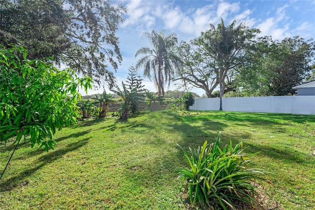 2319 Continental Blvd, Orlando, FL 32808 - view of yard with fence