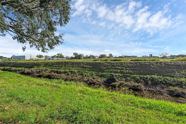 view of local wilderness with a rural view