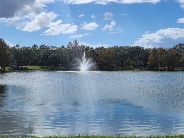 view of water feature