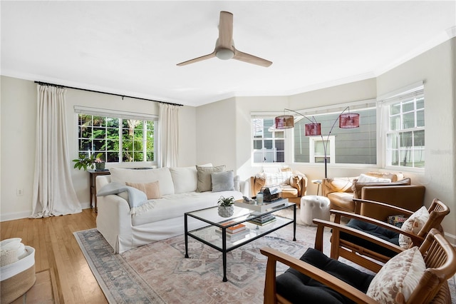 living room with light hardwood / wood-style floors, ceiling fan, and ornamental molding