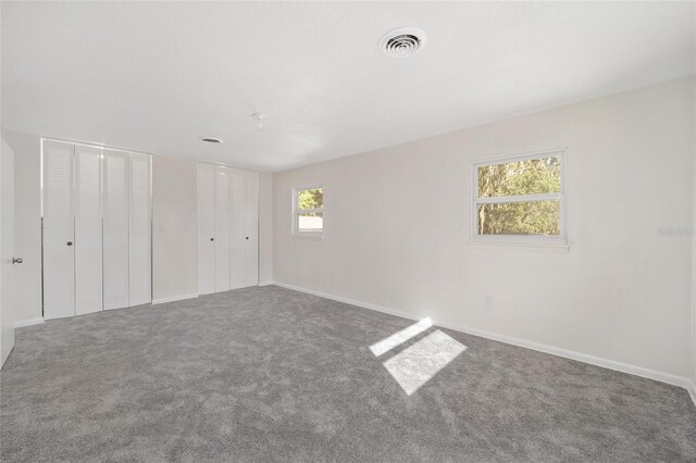 empty room featuring a wealth of natural light and carpet