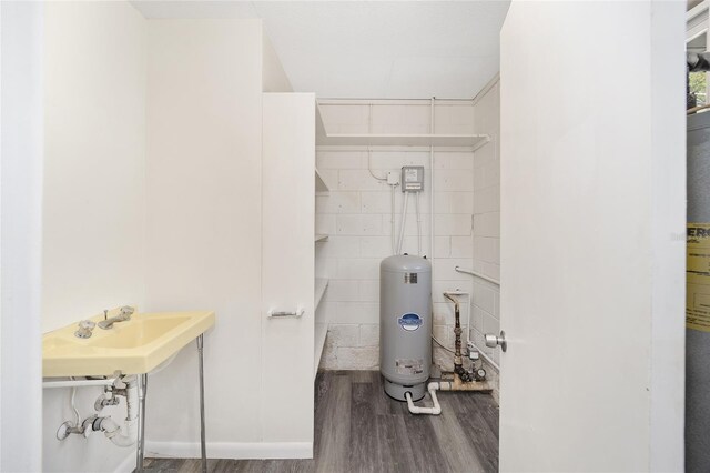 bathroom with hardwood / wood-style flooring and sink