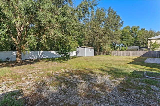 view of yard featuring a shed