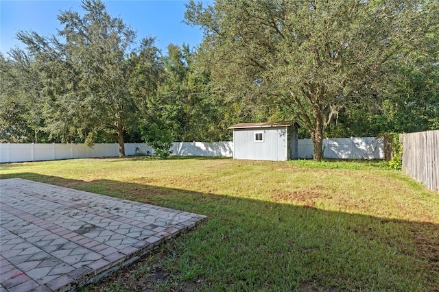 view of yard with a patio area and a storage shed