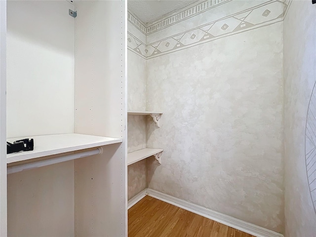 walk in closet featuring hardwood / wood-style flooring