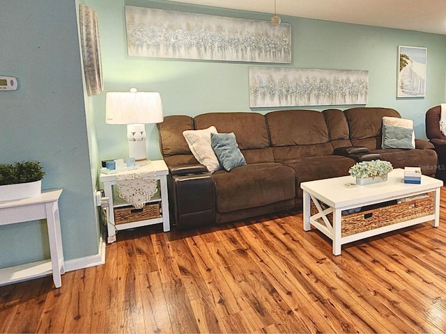 living room featuring wood-type flooring