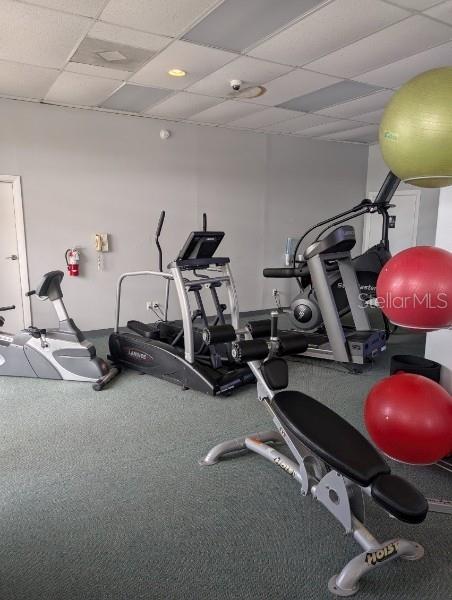 workout area featuring a drop ceiling and carpet