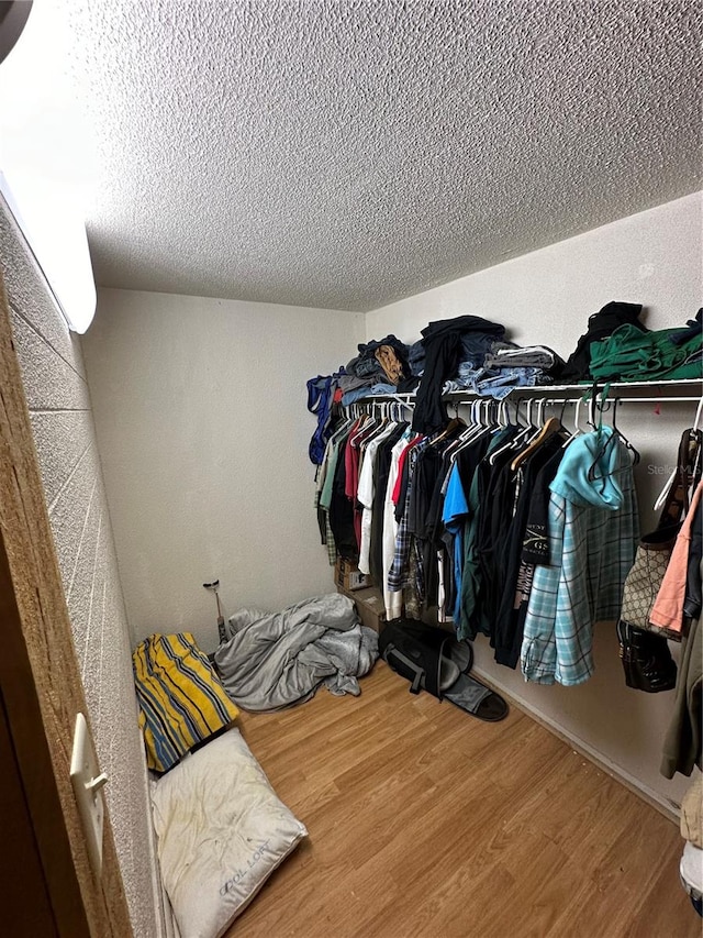 spacious closet featuring hardwood / wood-style floors