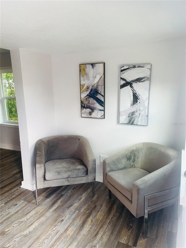 living area featuring wood-type flooring