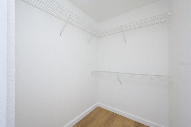 walk in closet featuring hardwood / wood-style floors