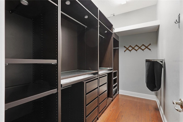 spacious closet featuring light wood-type flooring