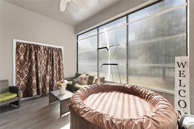 interior space featuring hardwood / wood-style floors, ceiling fan, and a textured ceiling