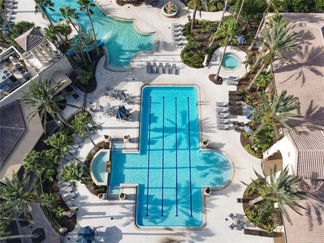 view of pool with a patio area